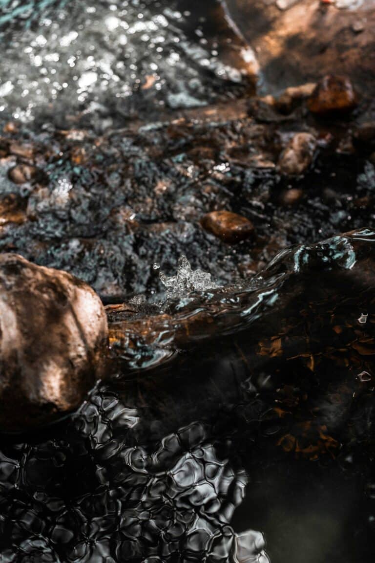 ountain stream with clear flowing water running over rocks in a forest