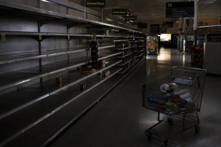 Empty grocery store shelves during a blackout with emergency supplies running low and a shopping cart filled with survival essentials