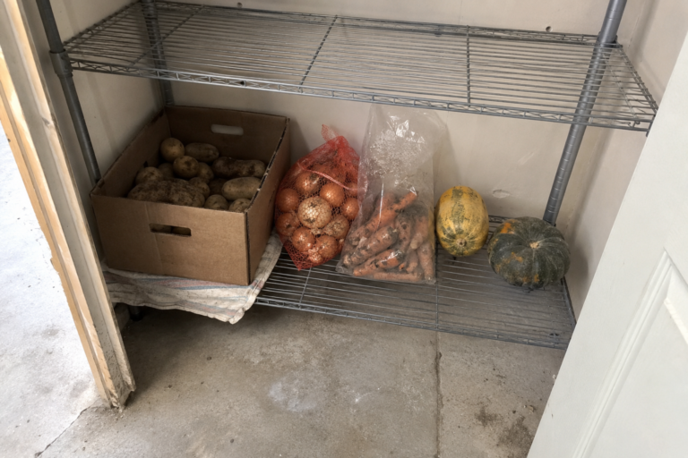 Harvested potatoes, onions, carrots, and winter squash stored on metal shelving in a cool garage utility closet.