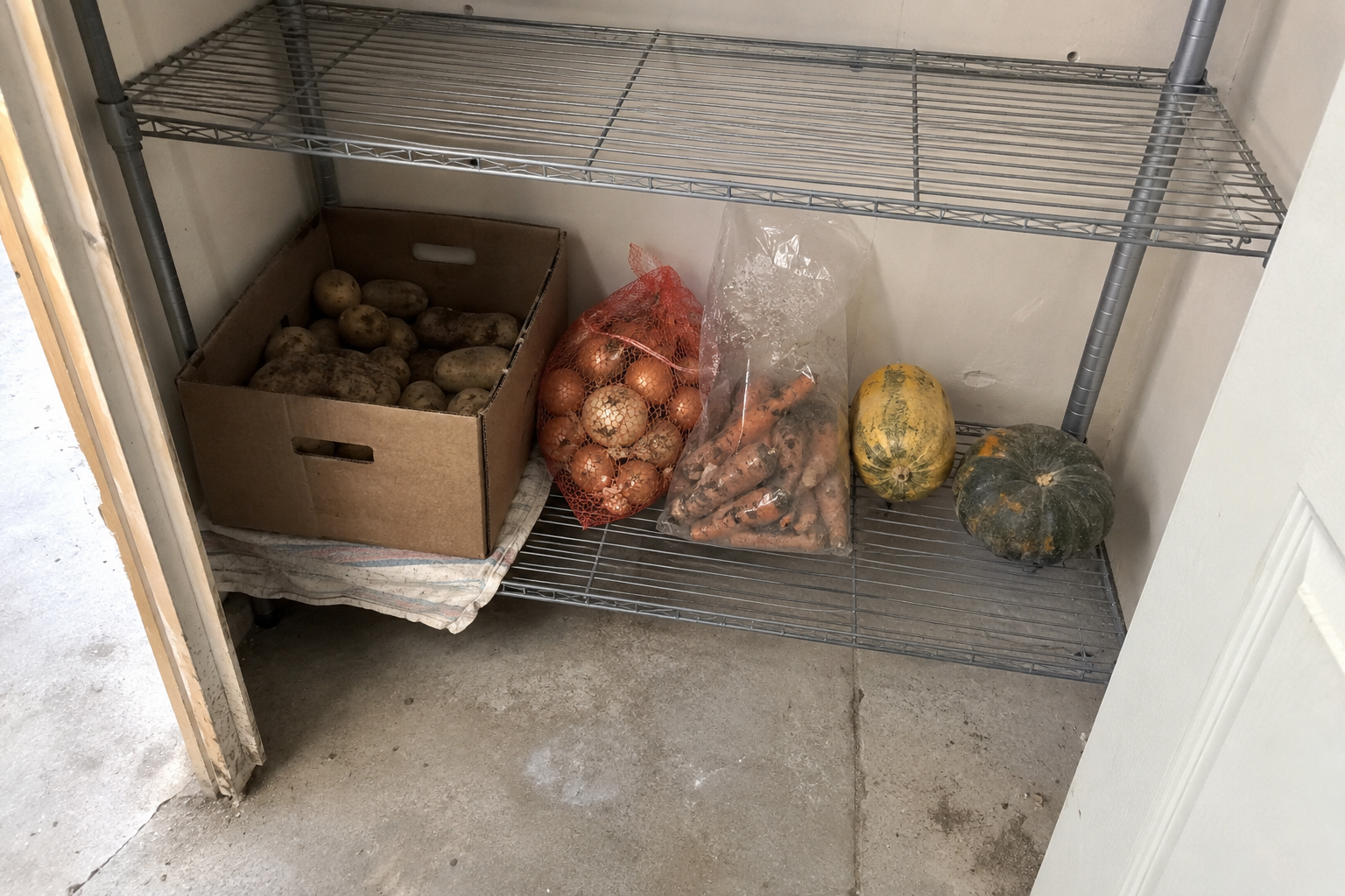 Harvested potatoes, onions, carrots, and winter squash stored on metal shelving in a cool garage utility closet.
