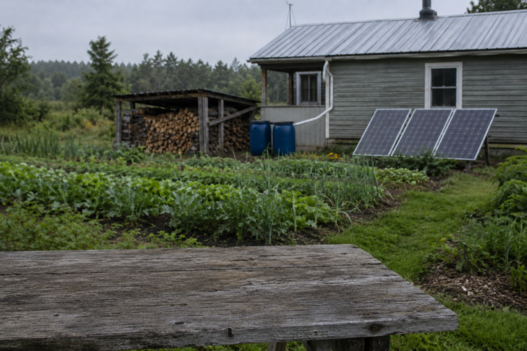 Rural home prepared for a long-term power outage with solar panels, rain barrels, stacked firewood, and a productive vegetable garden.